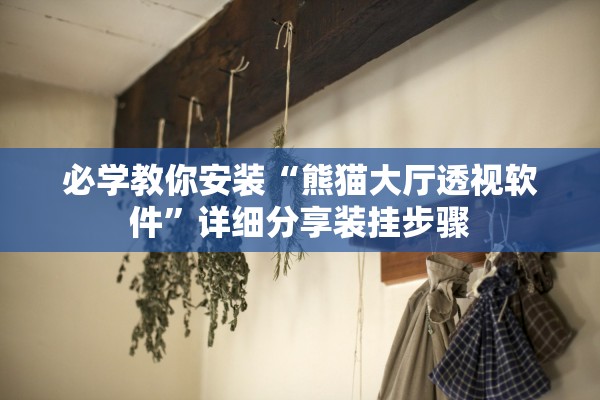 必学教你安装“熊猫大厅透视软件	”详细分享装挂步骤