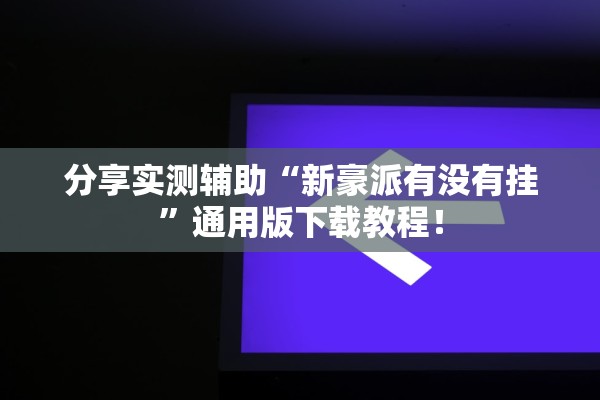 分享实测辅助“新豪派有没有挂”通用版下载教程！