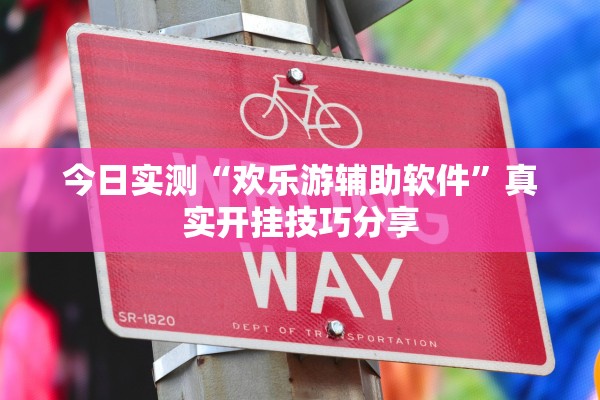 今日实测“欢乐游辅助软件”真实开挂技巧分享