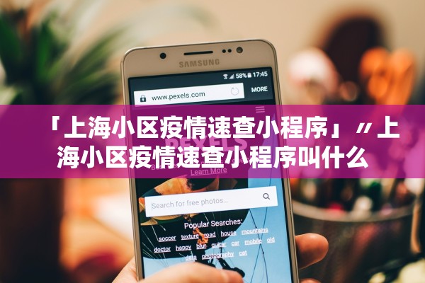 「上海小区疫情速查小程序」〃上海小区疫情速查小程序叫什么