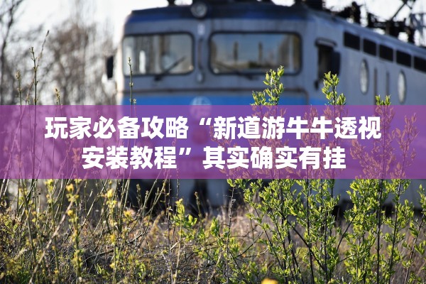 玩家必备攻略“新道游牛牛透视安装教程”其实确实有挂