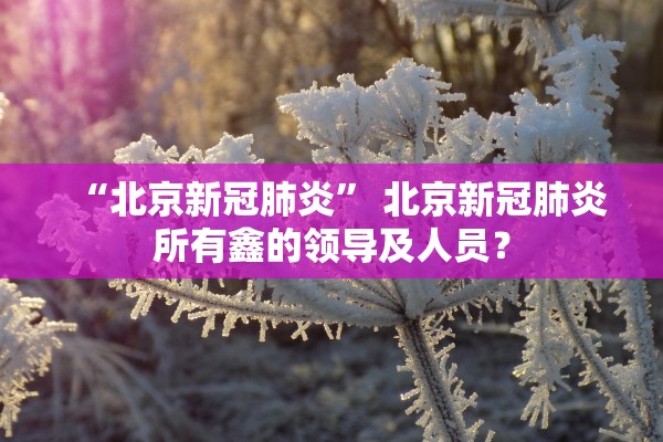 “北京新冠肺炎	” 北京新冠肺炎所有鑫的领导及人员？