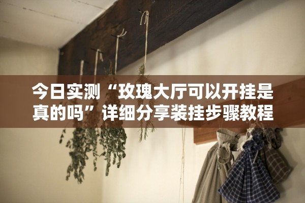 今日实测“玫瑰大厅可以开挂是真的吗	”详细分享装挂步骤教程