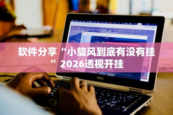 软件分享“小旋风到底有没有挂	”2026透视开挂