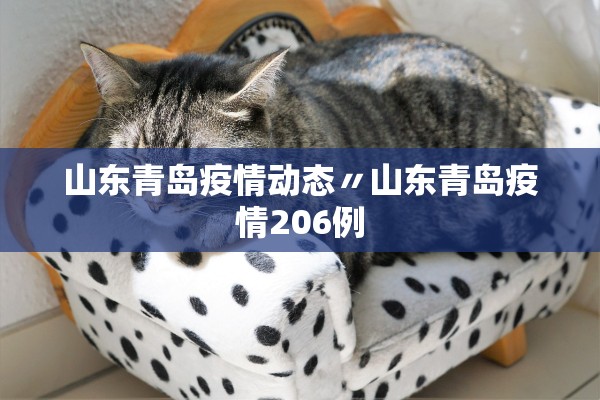 山东青岛疫情动态〃山东青岛疫情206例 山东青岛疫情动态〃山东青岛疫情206例