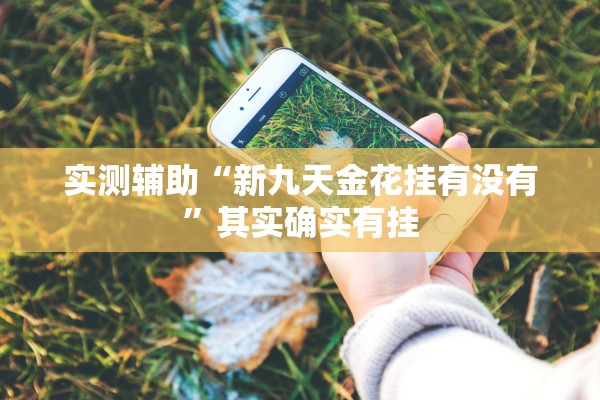 实测辅助“新九天金花挂有没有”其实确实有挂