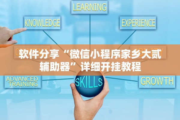软件分享“微信小程序家乡大贰辅助器”详细开挂教程