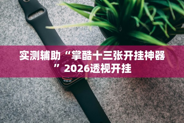 实测辅助“掌酷十三张开挂神器”2026透视开挂