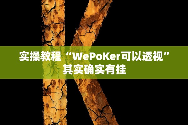 实操教程“WePoKer可以透视	”其实确实有挂