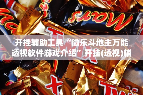 开挂辅助工具“微乐斗地主万能透视软件游戏介绍”开挂(透视)辅助教程