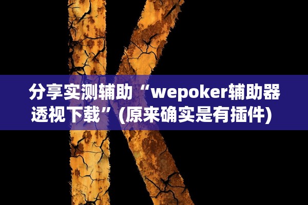分享实测辅助“wepoker辅助器透视下载	”(原来确实是有插件) 