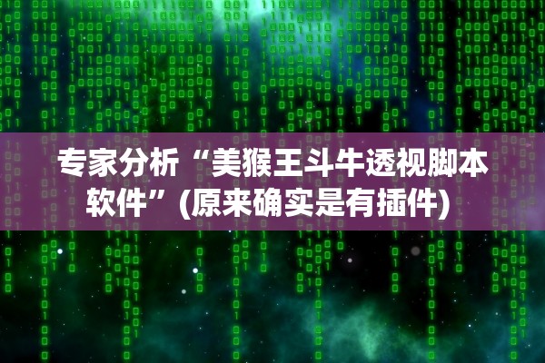 专家分析“美猴王斗牛透视脚本软件	”(原来确实是有插件) 