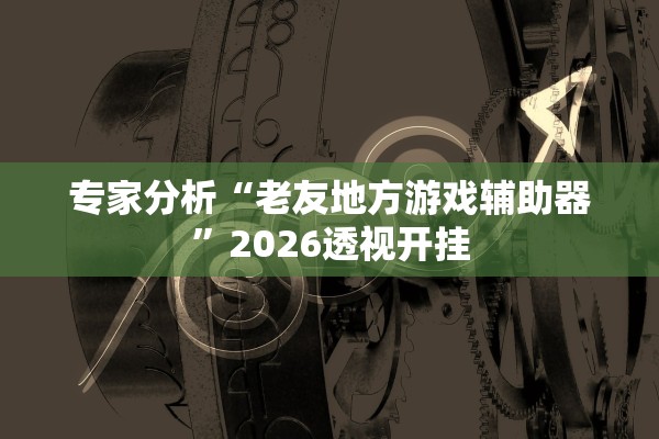 专家分析“老友地方游戏辅助器”2026透视开挂