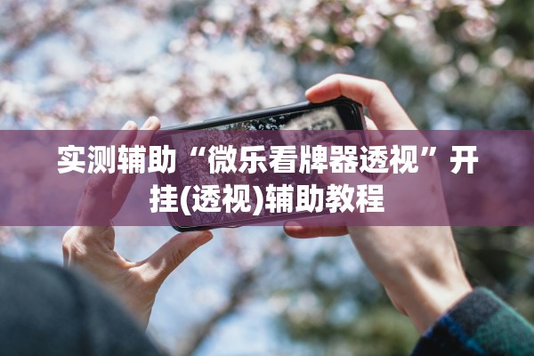 实测辅助“微乐看牌器透视”开挂(透视)辅助教程
