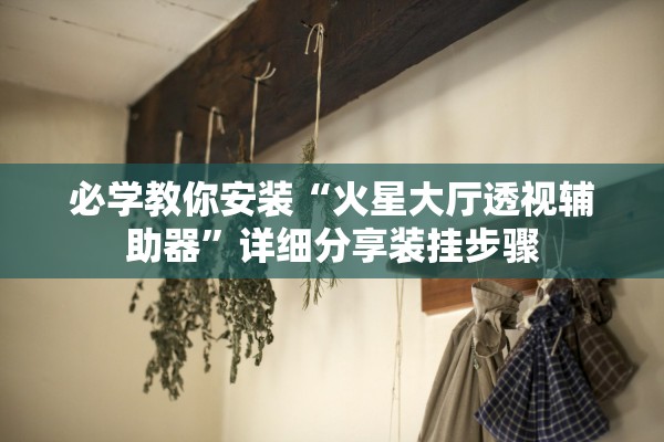 必学教你安装“火星大厅透视辅助器”详细分享装挂步骤