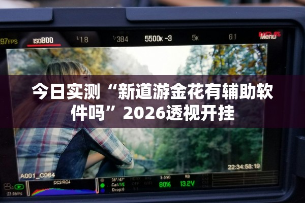 今日实测“新道游金花有辅助软件吗”2026透视开挂