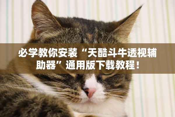 必学教你安装“天酷斗牛透视辅助器”通用版下载教程！