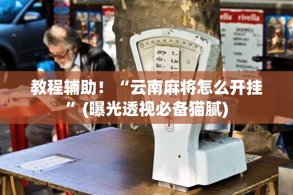 教程辅助！“云南麻将怎么开挂”(曝光透视必备猫腻)
