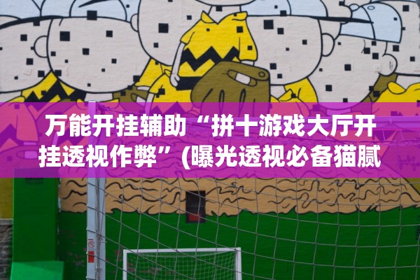 万能开挂辅助“拼十游戏大厅开挂透视作弊	”(曝光透视必备猫腻)