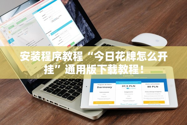 安装程序教程“今日花牌怎么开挂	”通用版下载教程！