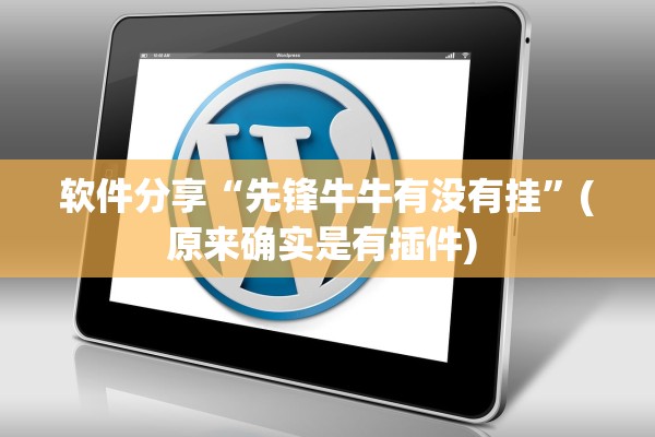 软件分享“先锋牛牛有没有挂”(原来确实是有插件) 