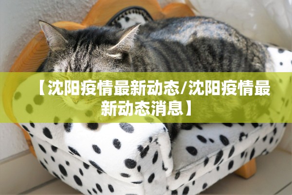 【沈阳疫情最新动态/沈阳疫情最新动态消息】