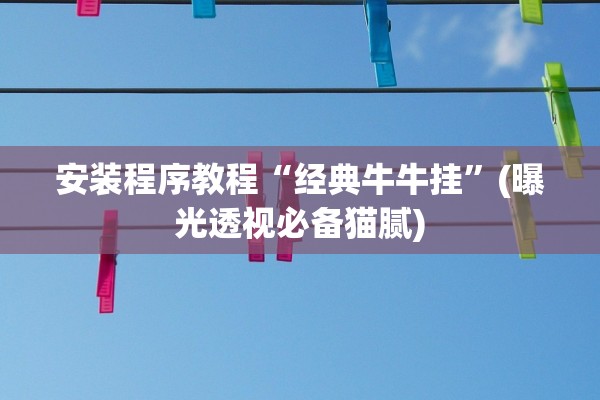 安装程序教程“经典牛牛挂	”(曝光透视必备猫腻)