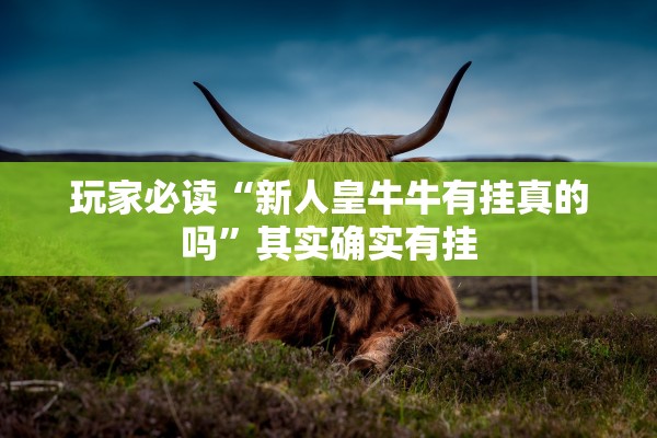 玩家必读“新人皇牛牛有挂真的吗	”其实确实有挂