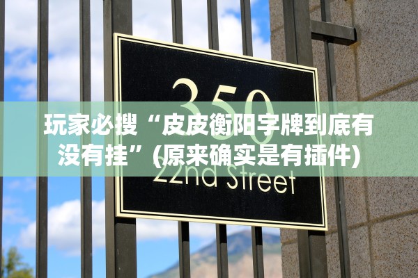 玩家必搜“皮皮衡阳字牌到底有没有挂	”(原来确实是有插件)