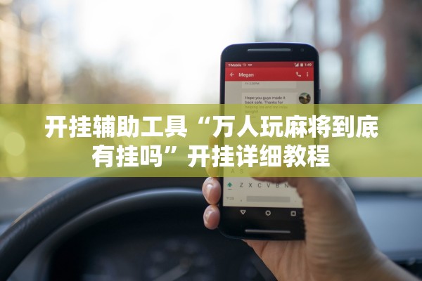 开挂辅助工具“万人玩麻将到底有挂吗”开挂详细教程