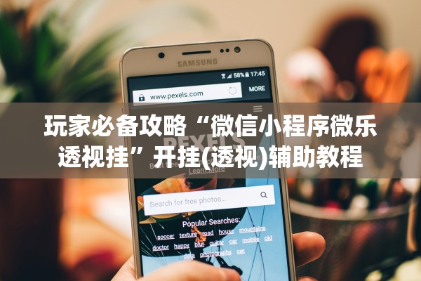 玩家必备攻略“微信小程序微乐透视挂”开挂(透视)辅助教程