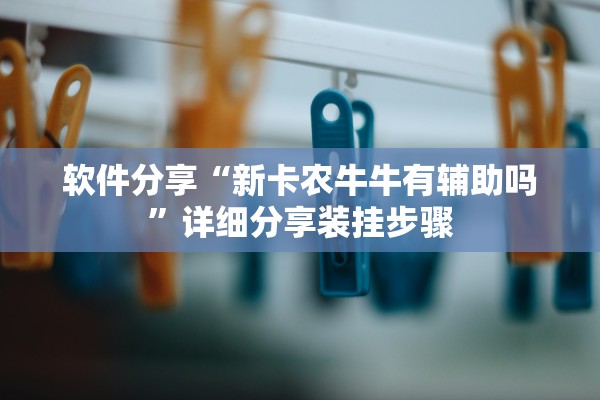 软件分享“新卡农牛牛有辅助吗”详细分享装挂步骤