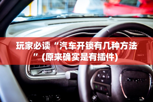 玩家必读“汽车开锁有几种方法	”(原来确实是有插件) 