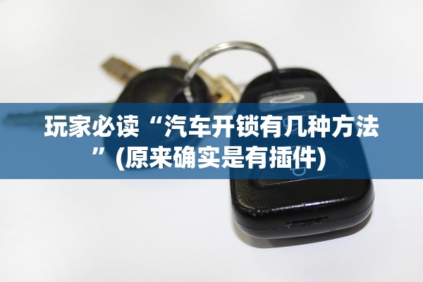 玩家必读“汽车开锁有几种方法”(原来确实是有插件) 