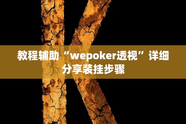 教程辅助“wepoker透视”详细分享装挂步骤