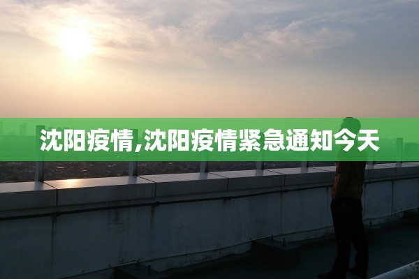 沈阳疫情,沈阳疫情紧急通知今天 沈阳疫情,沈阳疫情紧急通知今天