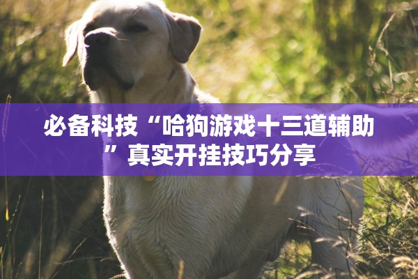 必备科技“哈狗游戏十三道辅助	”真实开挂技巧分享