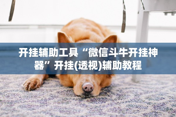 开挂辅助工具“微信斗牛开挂神器”开挂(透视)辅助教程