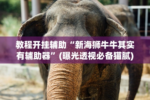 教程开挂辅助“新海狮牛牛其实有辅助器	”(曝光透视必备猫腻)