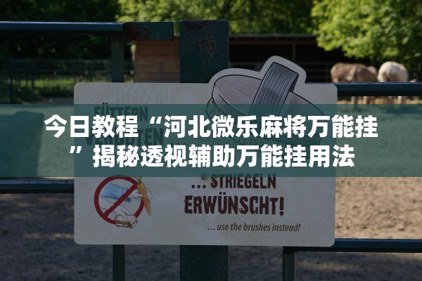 今日教程“河北微乐麻将万能挂	”揭秘透视辅助万能挂用法
