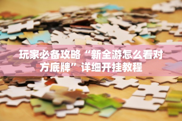 玩家必备攻略“新全游怎么看对方底牌”详细开挂教程