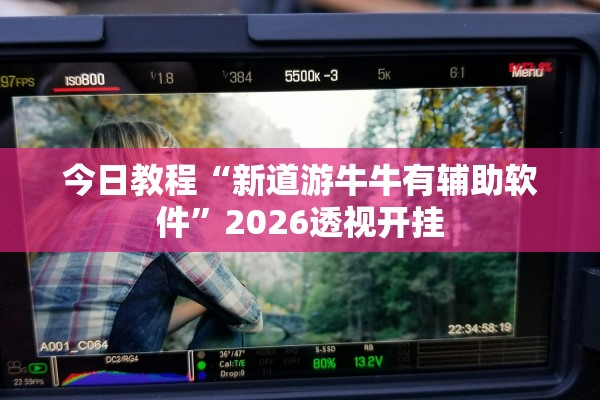 今日教程“新道游牛牛有辅助软件	”2026透视开挂
