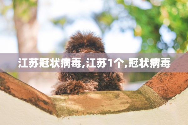 江苏冠状病毒,江苏1个,冠状病毒