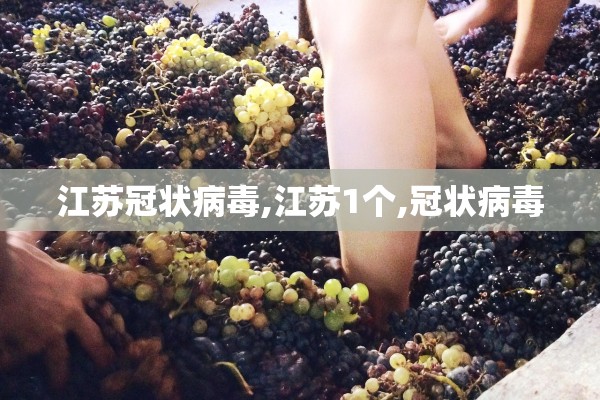 江苏冠状病毒,江苏1个,冠状病毒