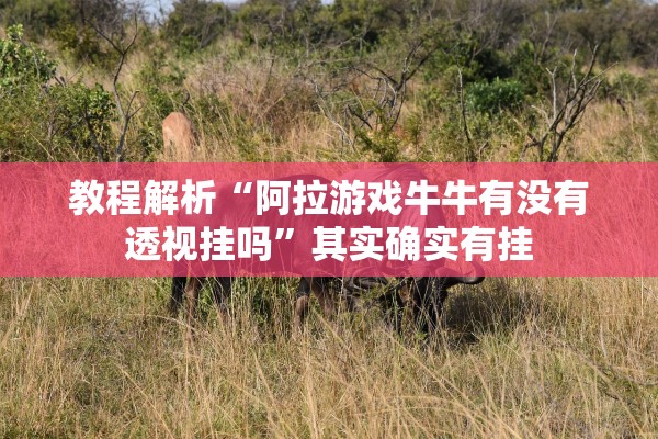 教程解析“阿拉游戏牛牛有没有透视挂吗”其实确实有挂