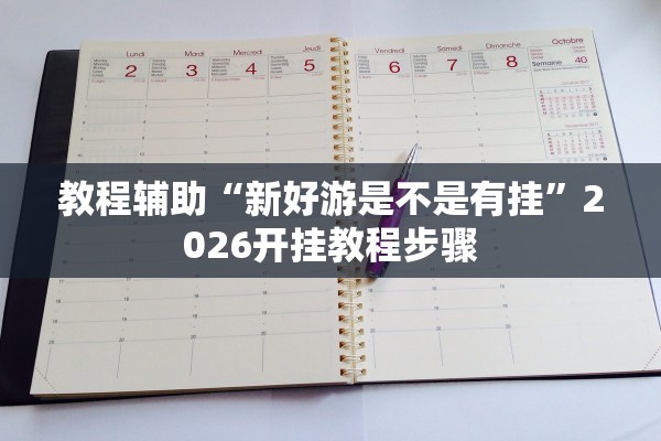 教程辅助“新好游是不是有挂	”2026开挂教程步骤