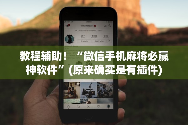 教程辅助！“微信手机麻将必赢神软件”(原来确实是有插件)