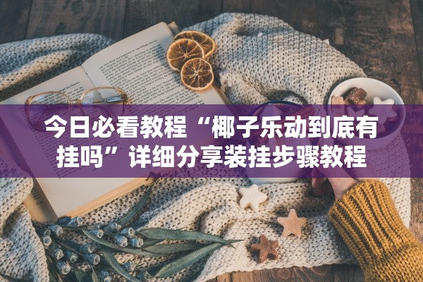今日必看教程“椰子乐动到底有挂吗”详细分享装挂步骤教程