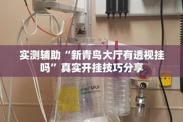 实测辅助“新青鸟大厅有透视挂吗	”真实开挂技巧分享