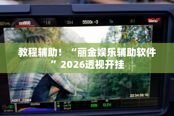 教程辅助！“丽金娱乐辅助软件	”2026透视开挂